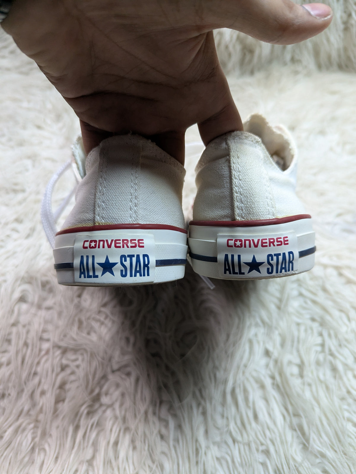 Chuck Taylor | White | Lo top | Converse